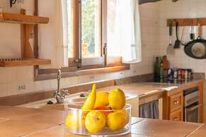 Garriga D Alcudiola in Mallorca