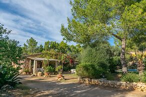 Garriga D Alcudiola in Mallorca