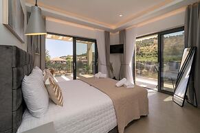 Diamond Villa With Swimming Pool