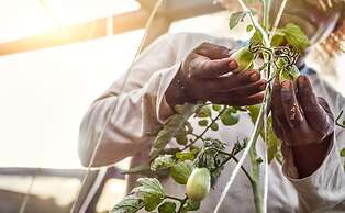 Villa Paz - La Villa Group