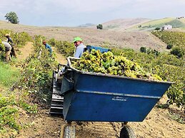 Tenute Baglio Passofondo