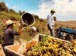 Tenute Baglio Passofondo