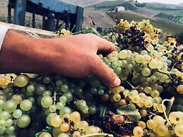 Tenute Baglio Passofondo