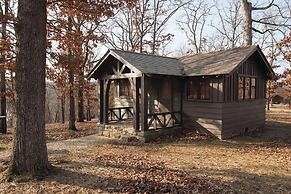 Pin Oak