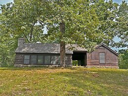 Pin Oak