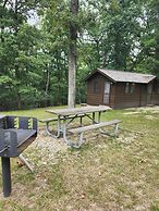 Pin Oak