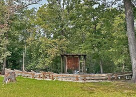 Pin Oak