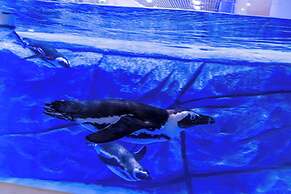 Haichang Penguin Wassim Hotel