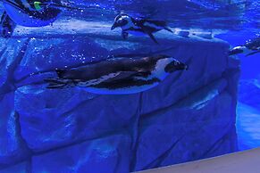 Haichang Penguin Wassim Hotel