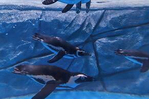 Haichang Penguin Wassim Hotel