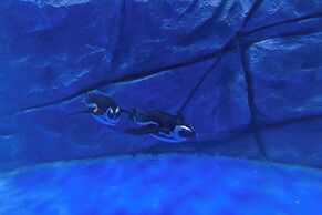 Haichang Penguin Wassim Hotel