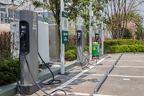 Mauve Glamor Chengdu