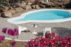 Bougainvillea Comfort Villa Mykonos