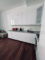 Farini House - apartment in Modena