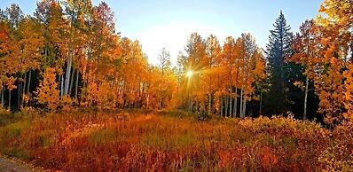 EML 1 Pack Saddle Jack