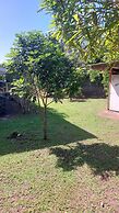fare pk 2.9 raiateaguest