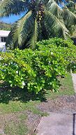 fare pk 2.9 raiateaguest