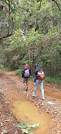 Glamping Volver a la Tierra