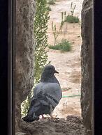 Obruk Kervansaray Museum Hotel