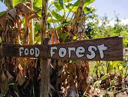 High Valley Dawn Permaculture Farm