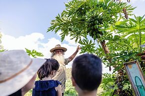 High Valley Dawn Permaculture Farm