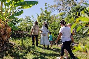 High Valley Dawn Permaculture Farm