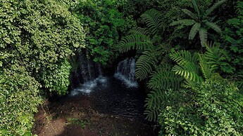 Santya Loka Lodge & Twin Waterfall