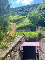 Vineyard cottage Kovačnica