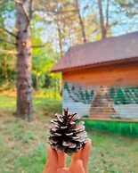 ÇAMPINARI DOĞA EVLERİ & RESTAURANT