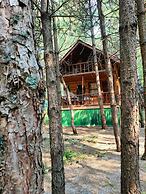 ÇAMPINARI DOĞA EVLERİ & RESTAURANT