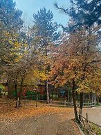 ÇAMPINARI DOĞA EVLERİ & RESTAURANT