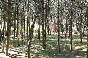 ÇAMPINARI DOĞA EVLERİ & RESTAURANT