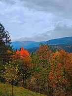 ÇAMPINARI DOĞA EVLERİ & RESTAURANT
