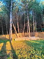 ÇAMPINARI DOĞA EVLERİ & RESTAURANT