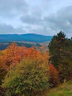 ÇAMPINARI DOĞA EVLERİ & RESTAURANT