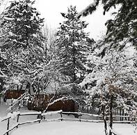 ÇAMPINARI DOĞA EVLERİ & RESTAURANT