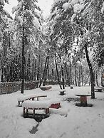 ÇAMPINARI DOĞA EVLERİ & RESTAURANT