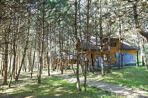 ÇAMPINARI DOĞA EVLERİ & RESTAURANT