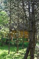 ÇAMPINARI DOĞA EVLERİ & RESTAURANT