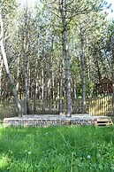 ÇAMPINARI DOĞA EVLERİ & RESTAURANT