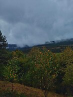 ÇAMPINARI DOĞA EVLERİ & RESTAURANT