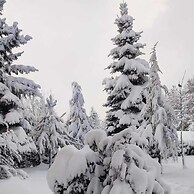 ÇAMPINARI DOĞA EVLERİ & RESTAURANT