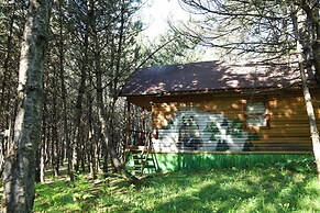 ÇAMPINARI DOĞA EVLERİ & RESTAURANT