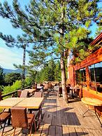 ÇAMPINARI DOĞA EVLERİ & RESTAURANT