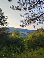 ÇAMPINARI DOĞA EVLERİ & RESTAURANT