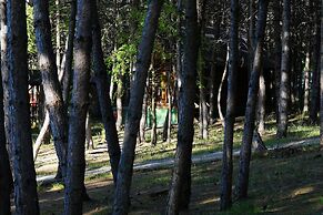 ÇAMPINARI DOĞA EVLERİ & RESTAURANT