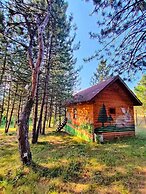 ÇAMPINARI DOĞA EVLERİ & RESTAURANT