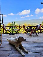 ÇAMPINARI DOĞA EVLERİ & RESTAURANT