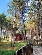 ÇAMPINARI DOĞA EVLERİ & RESTAURANT