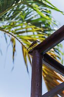 Nova Pousada Don Pepe